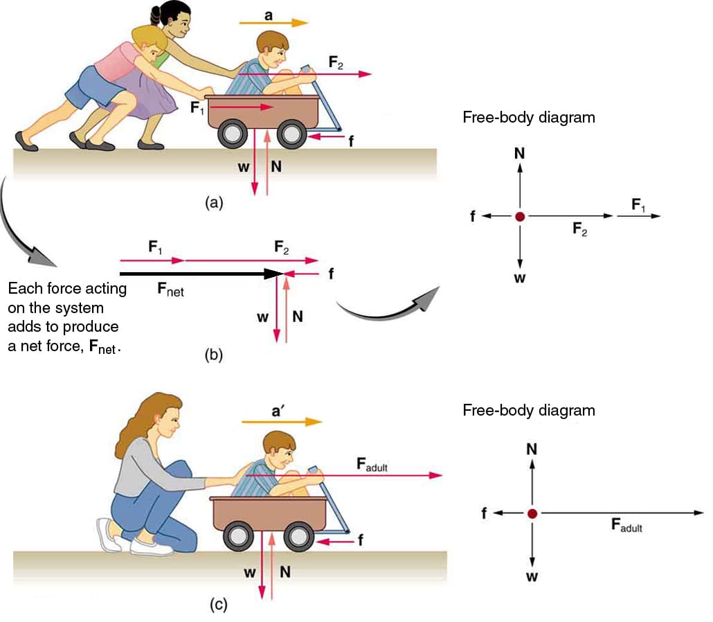 Fundamental Principles and Forces, 4.3 Newton’s Second Law of Motion: Concept of a System – College Physics: OpenStax