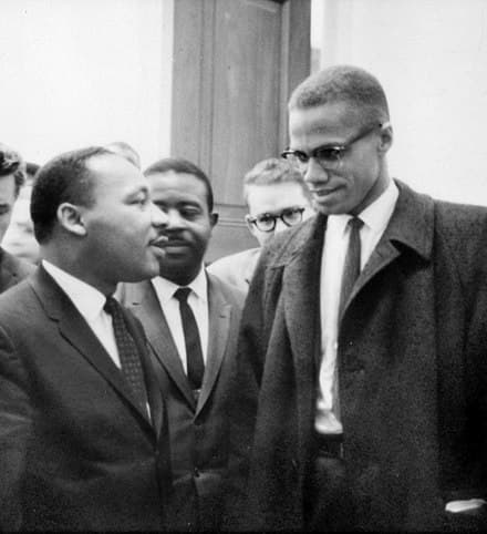 Key Organizations and Leaders, Malcolm X – Wikipedie