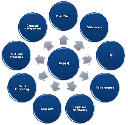Key Components and Clinical Decision Support, File:Ehr diagram.jpg - Wikipedia