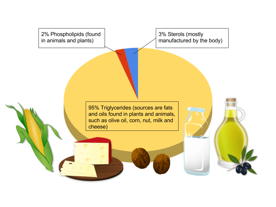 Key dietary factors for cardiovascular disease, Introduction – Human Nutrition