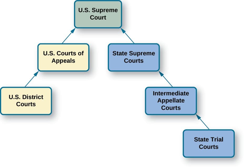 Key differences vs adult system, The Dual Court System – Introduction to American Government