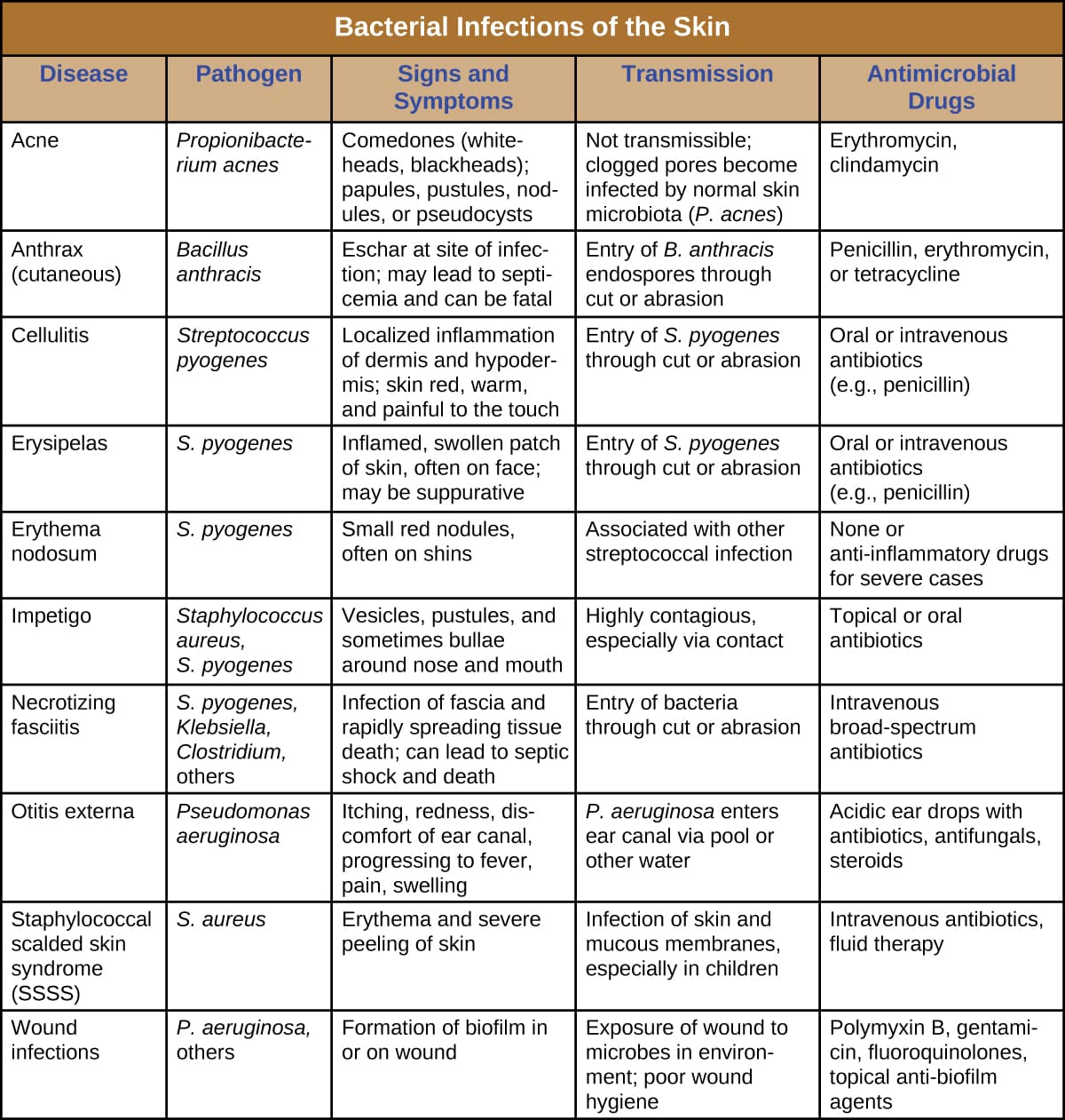 Key features of medications for skin conditions and burn treatments, Bacterial Infections of the Skin and Eyes · Microbiology