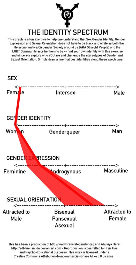 Key terms in transgender identities, Identity Formation | Lifespan Development