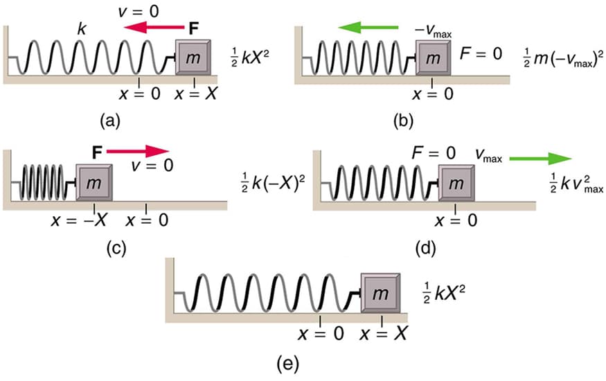 Kinetic and potential energy interchange, Energy and the Simple Harmonic Oscillator | Physics