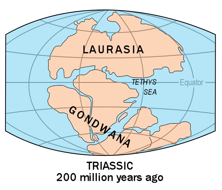 Glaciation and sea level drop, File:Laurasia-Gondwana.png