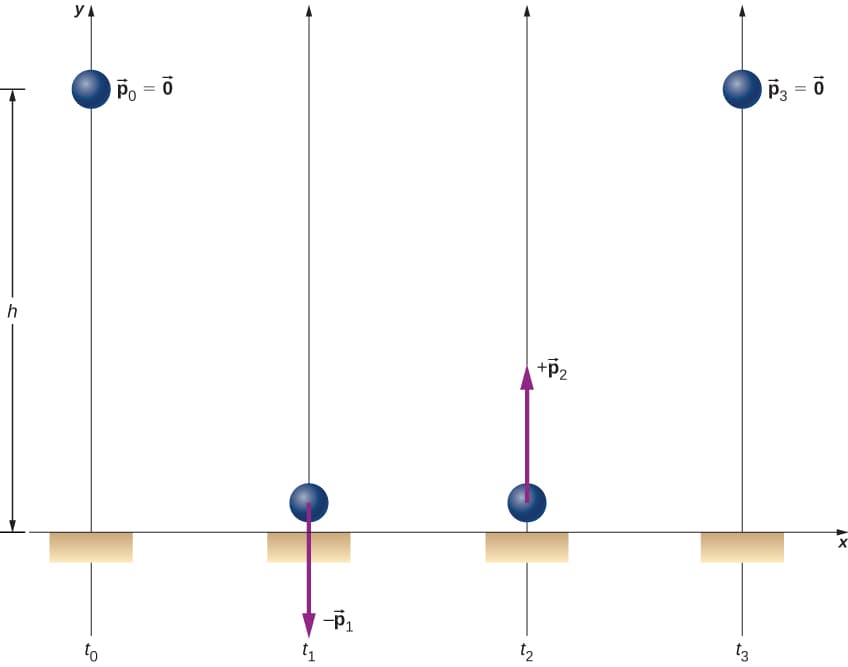 Law of conservation of linear momentum, Conservation of Linear Momentum – University Physics Volume 1