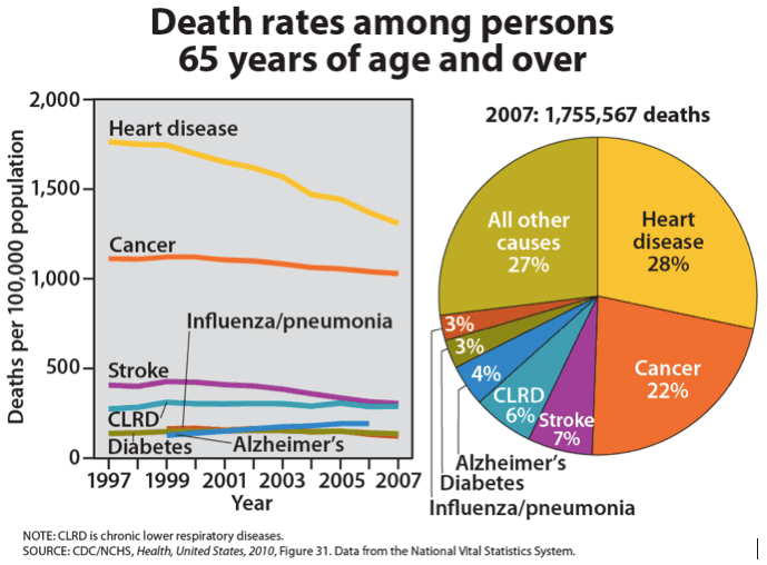 Leading Causes of Death Worldwide, Most Common Causes of Death | Lifespan Development – Lindh