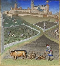 Living conditions of medieval peasants, Agriculture du Moyen Âge - Vikidia, l’encyclopédie des 8-13 ans