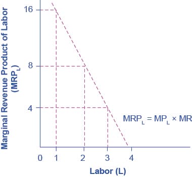 Marginal revenue product of labor, The Demand for Labor | Microeconomics