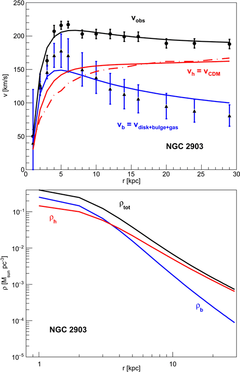 Mass estimation of galaxies, A Study of Dark Matter with Spiral Galaxy Rotation Curves
