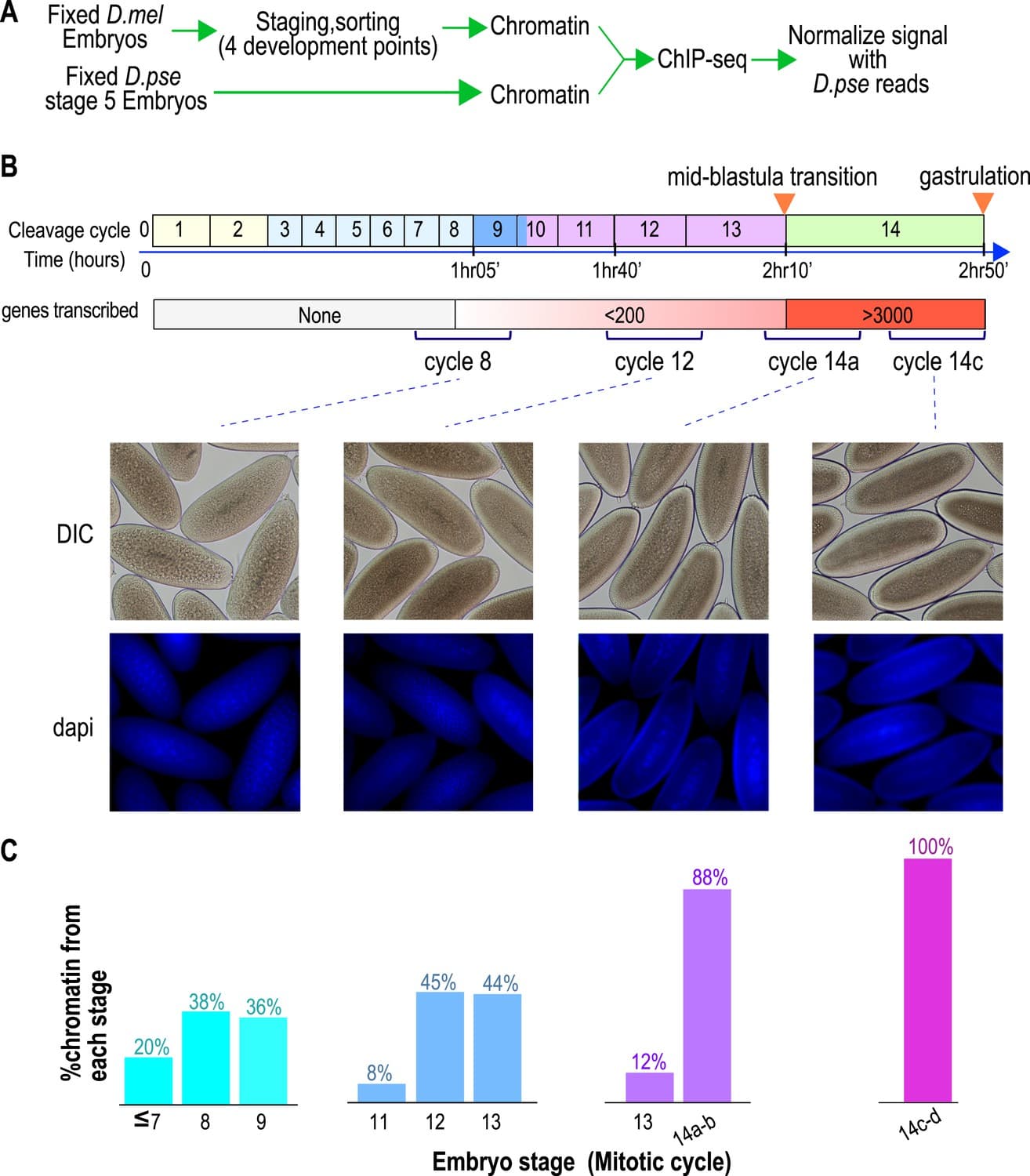 MZT Definition and Timing, Figures and data in Establishment of regions of genomic activity during the Drosophila maternal ...