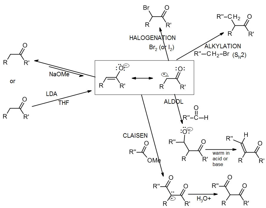 Mechanism of alpha halogenation, 20.6 Aldol reaction | Organic Chemistry II