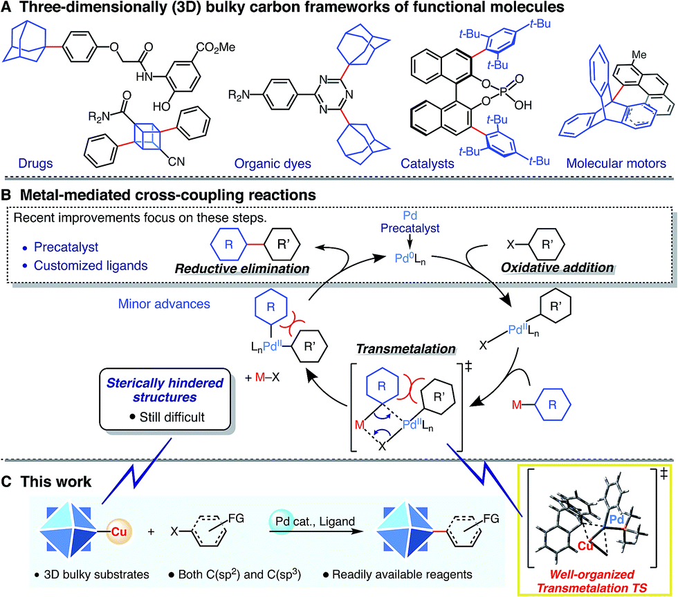 Mechanism of organometallic coupling reactions, Organocopper cross-coupling reaction for C–C bond formation on highly sterically hindered ...