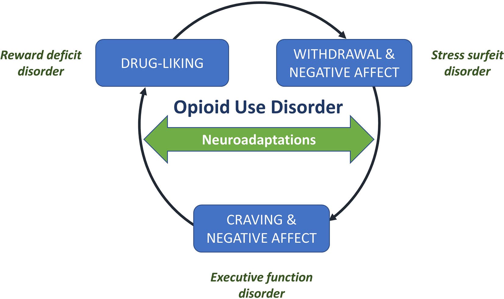 Mechanisms of opioid use disorder, Frontiers | Craving in Opioid Use Disorder: From Neurobiology to Clinical Practice