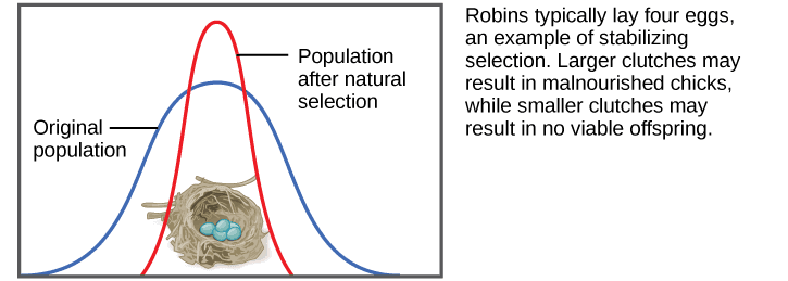 Methods for population measurement, The Evolution of Populations | Biology for Majors II
