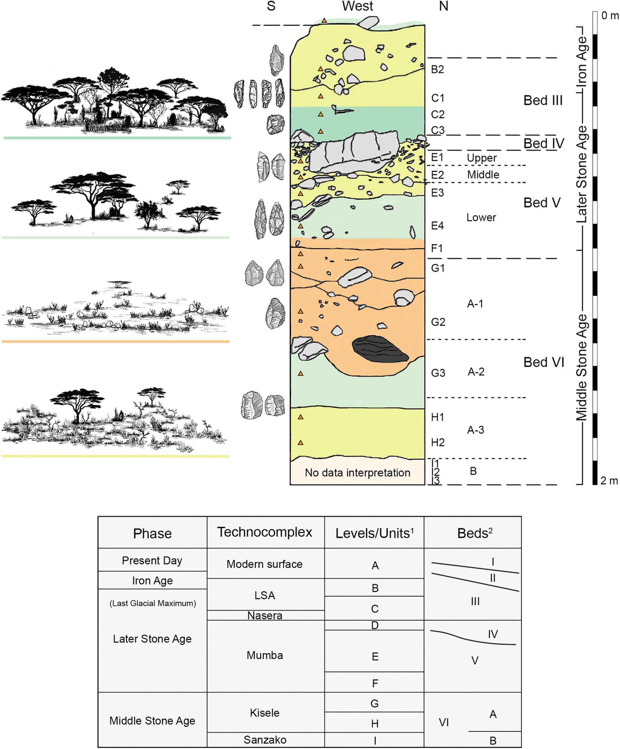 Methods in paleoethnobotanical research, Frontiers | Phytolith Palaeoenvironments at Mumba Rock Shelter