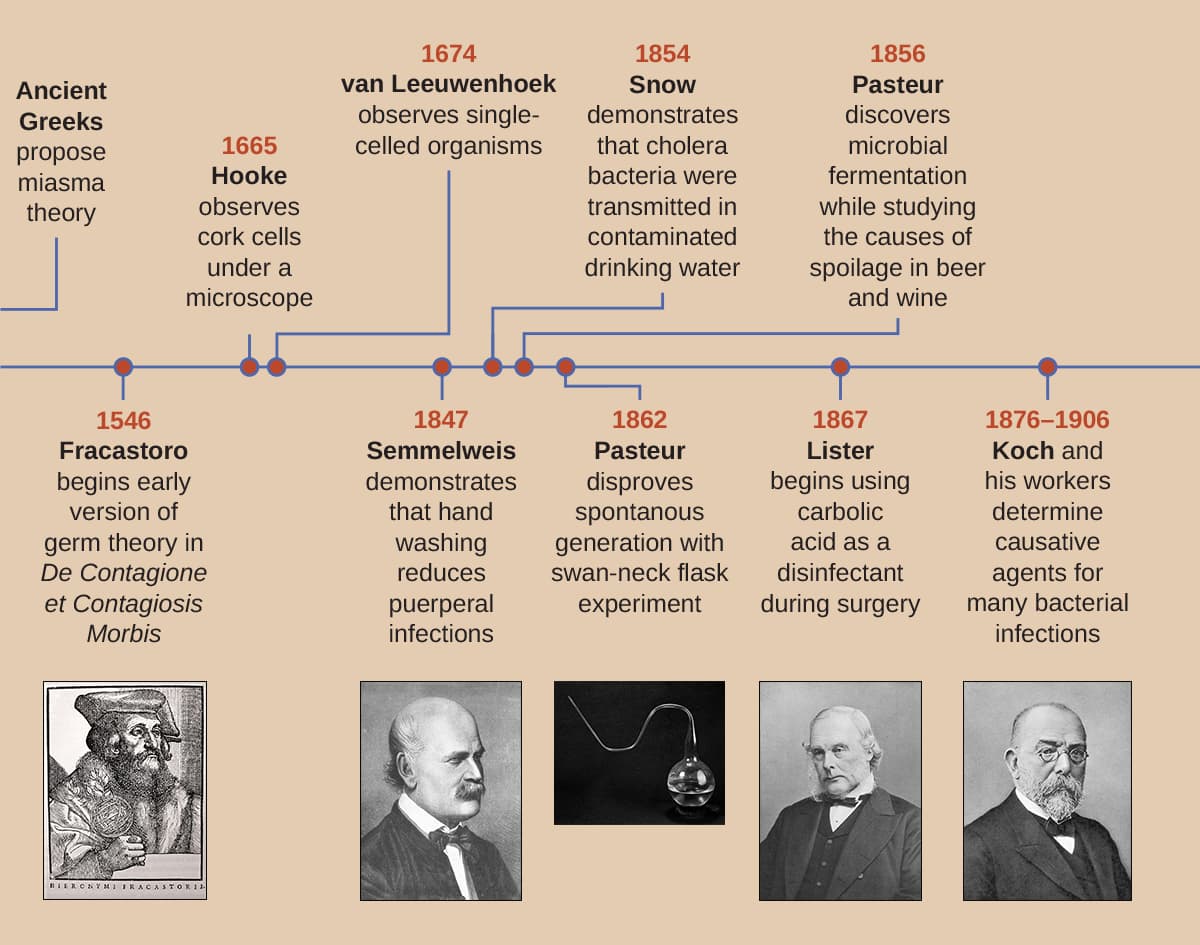 Milestones in epidemiology history, 3.2 – Foundations of Modern Cell Theory – Microbiology 201