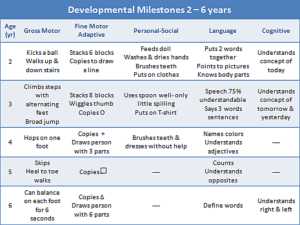 Milestones of cognitive development, Child Development and Behavior: Broken Homes, Hopes, and Dreams – Youth Voices