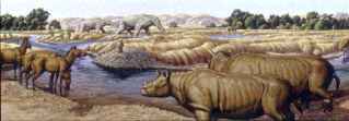 Miocene and Pliocene epochs, Palaeos Cenozoic: Miocene: The Miocene Epoch