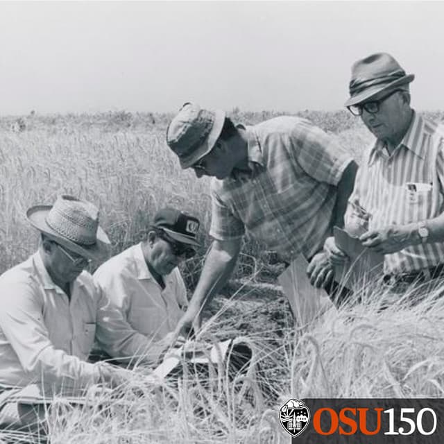 Agricultural Productivity, Creating High-yield Crops | Crop scientist Warren Kronstad h… | Flickr
