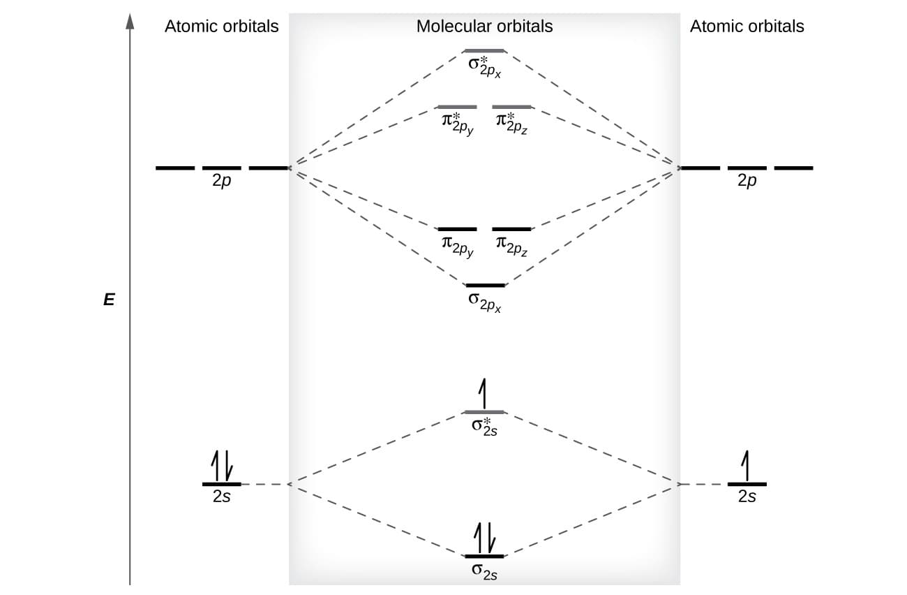 Molecular orbital theory for covalent bonds, Molecular Orbital Theory | Chemistry: Atoms First