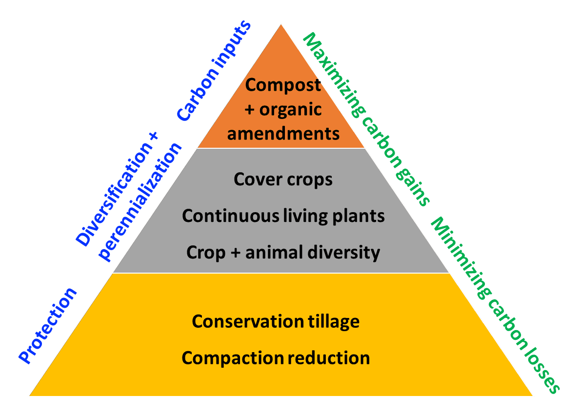 Monoculture and Polyculture Systems, Soil Health and Management – Digging into Canadian Soils