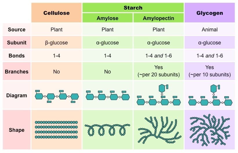 is c h o a carbohydrate lipid or protein Why carbohydrates, proteins, lipids and nucleic acid are referred to as Biomolecules? Which of the following biomolecules