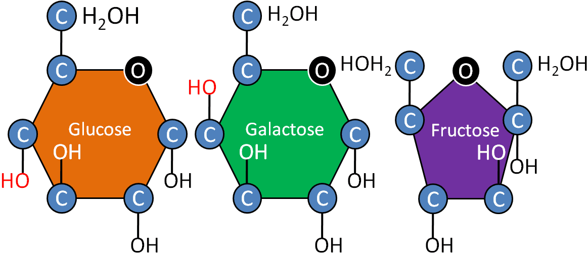 Structure and Classification of Simple Sugars, 2.11 Simple Carbohydrates | Nutrition