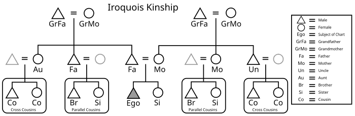 Clan Systems and Extended Family Dynamics, Anishinaabe clan system - Wikipedia