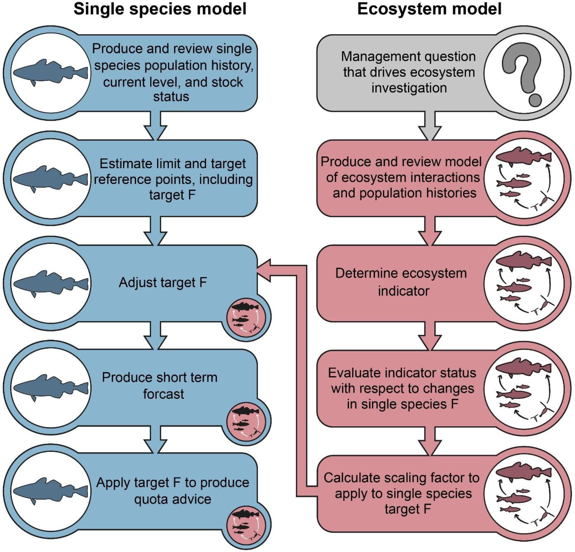Native vs non-native species, Frontiers | Combining Ecosystem and Single-Species Modeling to Provide Ecosystem-Based Fisheries ...