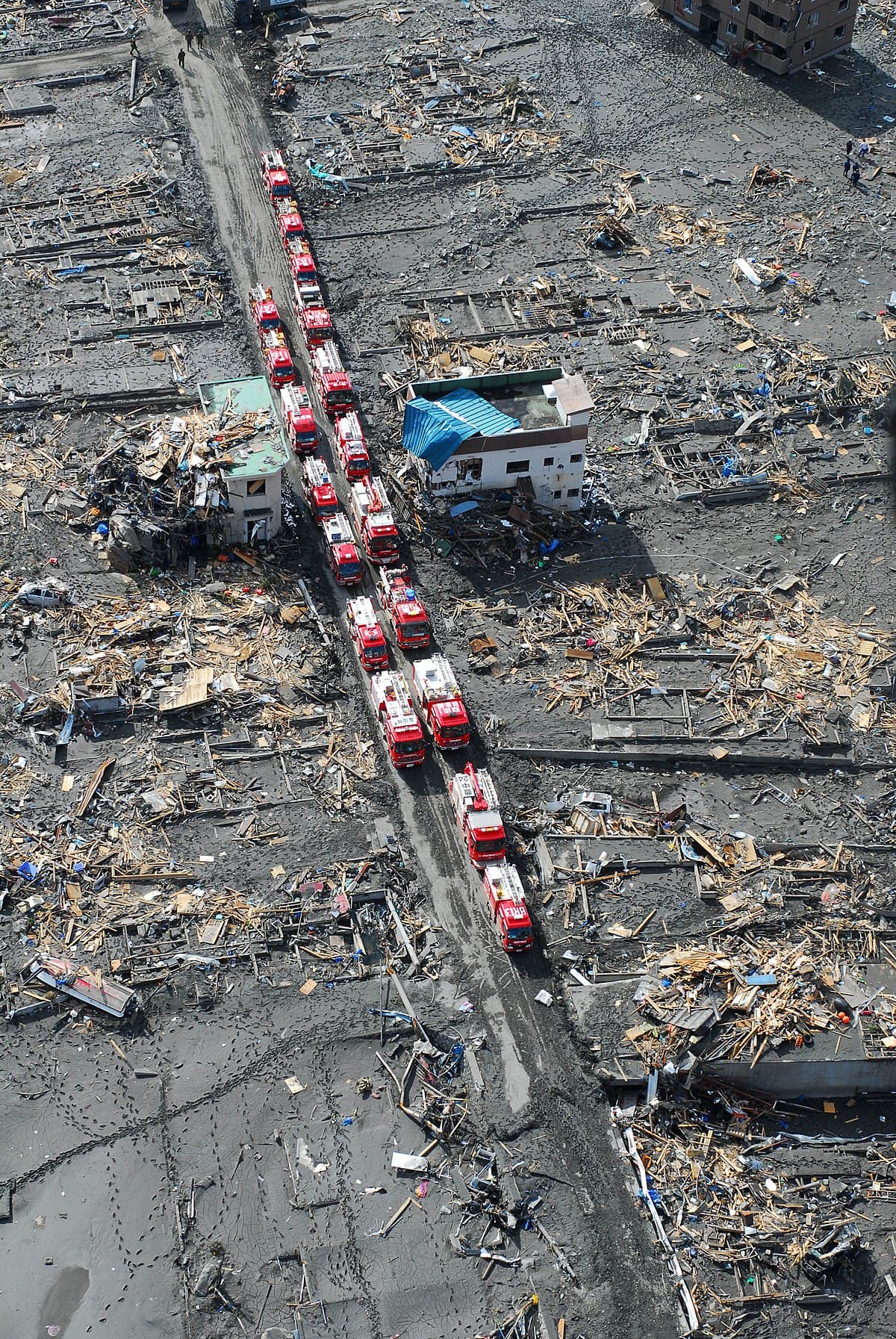Natural Disasters and Their Impacts, Aftermath of the 2011 Tōhoku earthquake and tsunami - Wikipedia