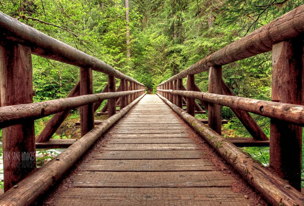 Natural vs man-made features, 38 Bridges Surrounded by Forests – Infinite World Wonders