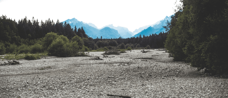 Nature writing and environmental awareness, Zanotti | Large intact forest landscapes and inclusive conservation: a political ecological ...