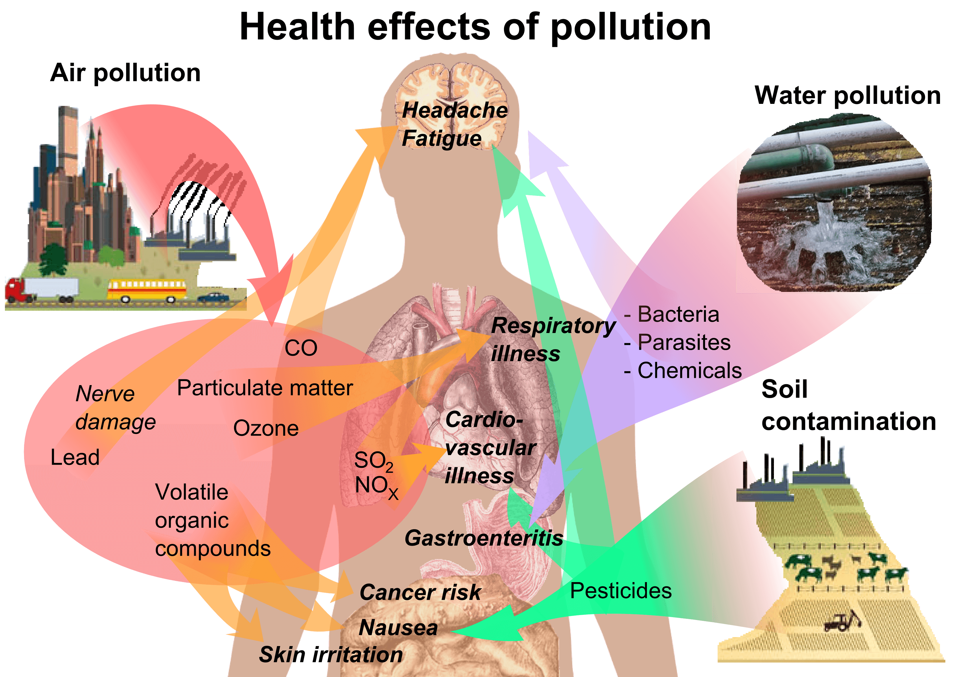 Negative Externalities, File:Health effects of pollution.png - Wikipedia