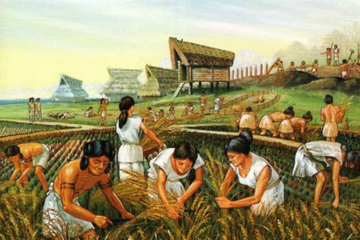 Changes in Social Organization, antrophistoria: La Revolución Neolítica: ¿el origen de nuestra autodestrucción como sociedad?
