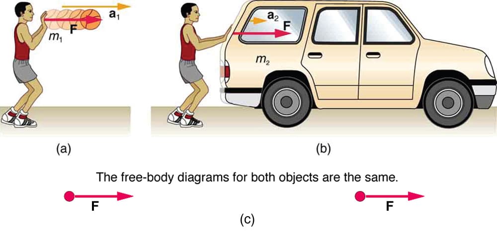 Newton's laws of motion, Newton’s Second Law of Motion: Concept of a System · Physics