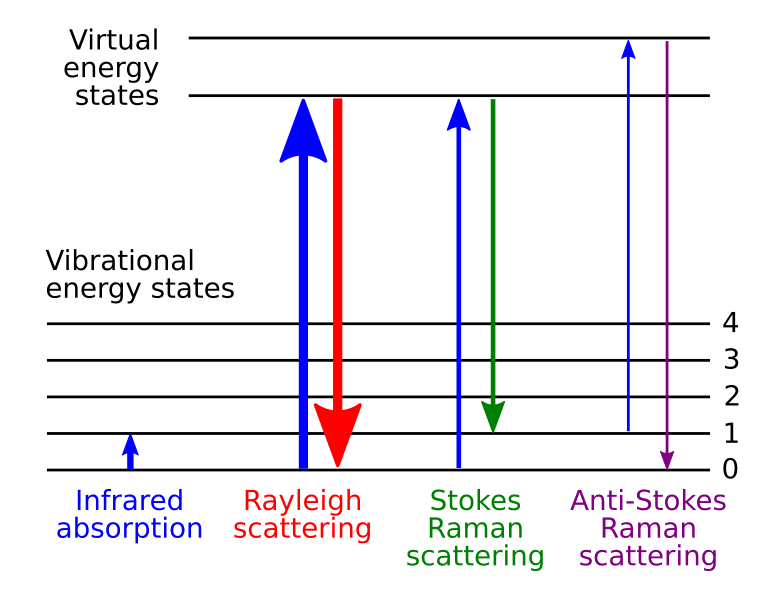 Vibrational energy levels and modes | Spectroscopy Class... | Fiveable Vibrational energy levels and modes | Spectroscopy Class... | Fiveable