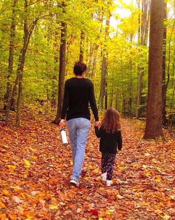 Nuclear and Single-Parent Families, Chapter 14. Marriage and Family – Introduction to Sociology – 1st Canadian Edition