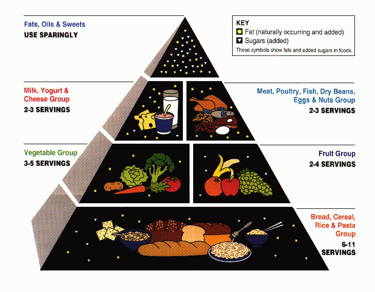 Nutrient requirements of animals, Food pyramid (nutrition) - Wikipedia