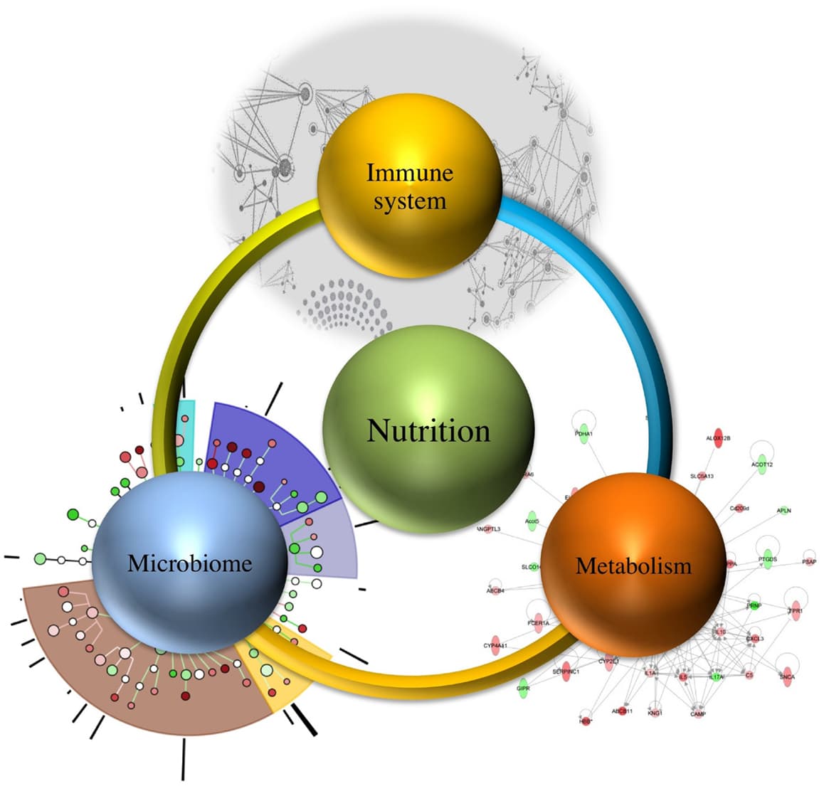 Nutrigenomics: Investigating Gene-Nutrient Interactions, Frontiers | Modeling-Enabled Systems Nutritional Immunology