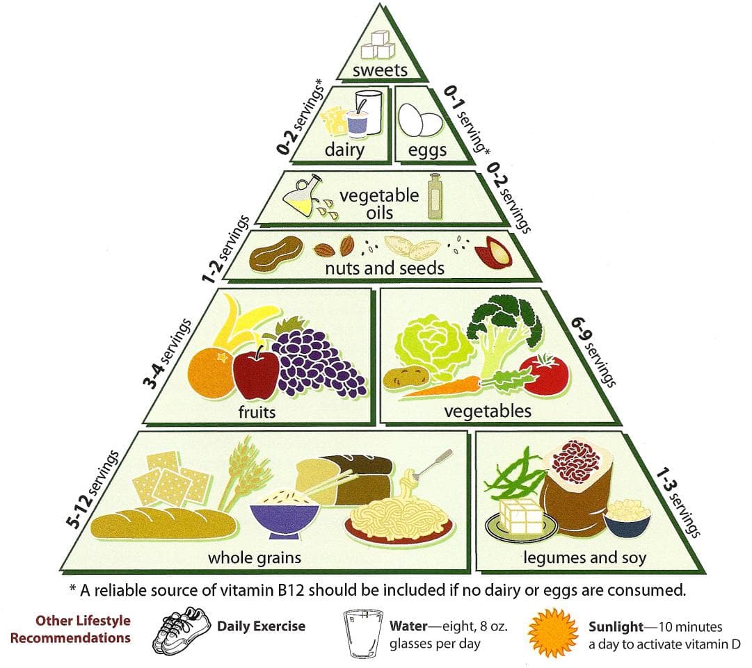 Nutritional requirements for adolescent growth, Vegetarian Diet Pyramid - Wikipedia