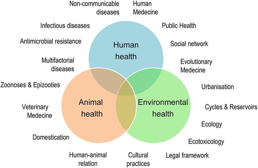 Integrated Strategies for Health Outcomes, Frontiers | The One Health Concept: 10 Years Old and a Long Road Ahead