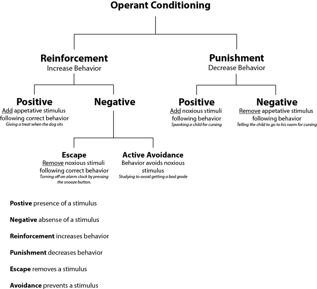 Operant conditioning in organizations, Reinforcement Theory | Introduction to Business