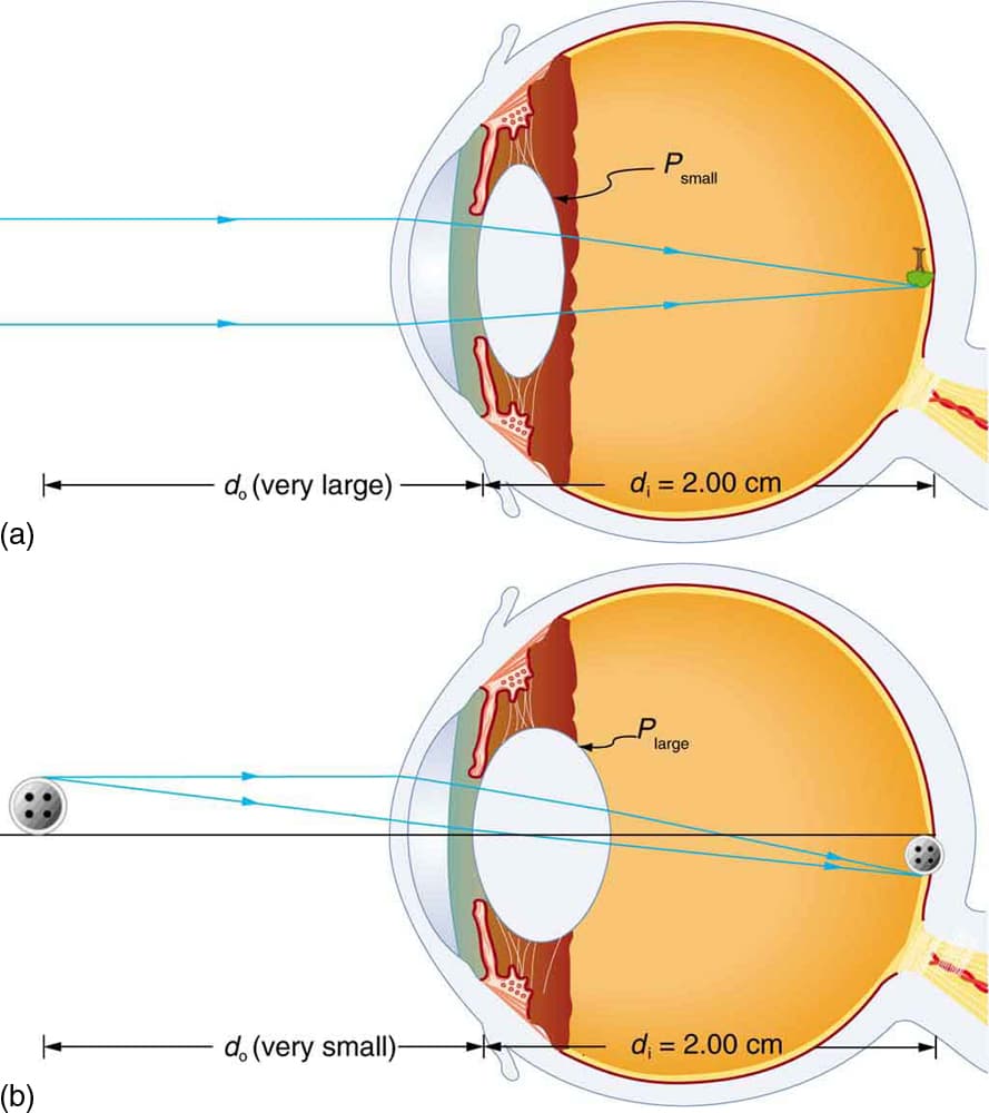 Optical Properties and Characteristics, Physics of the Eye | Physics II