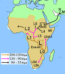 Out of Africa model evidence, Macro-haplogroup L (mtDNA) - Wikipedia