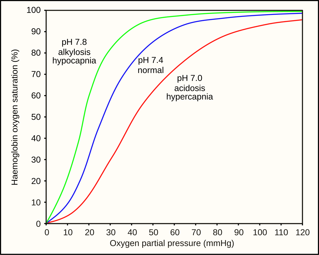 Oxygen transport in blood, File:Oxygen-Haemoglobin dissociation curves.svg - Wikimedia Commons