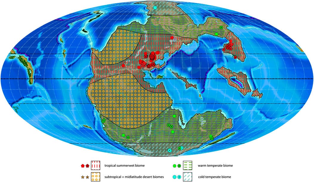 Defining paleogeography, Frontiers | Palaeophytogeographical Patterns Across the Permian–Triassic Boundary