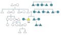 Patrilineal and Matrilineal Descent, Descent Rules | Cultural Anthropology