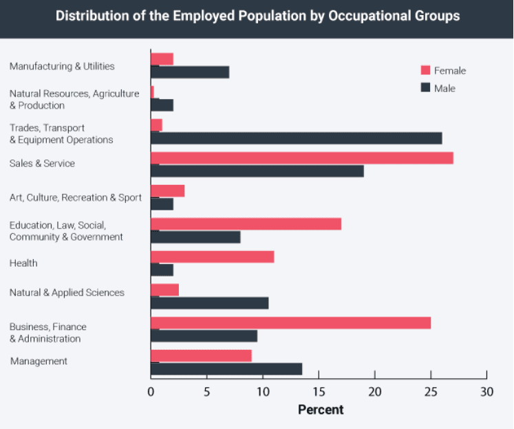 Patterns of occupational gender segregation, Introduction to Diversity – Professional Communications
