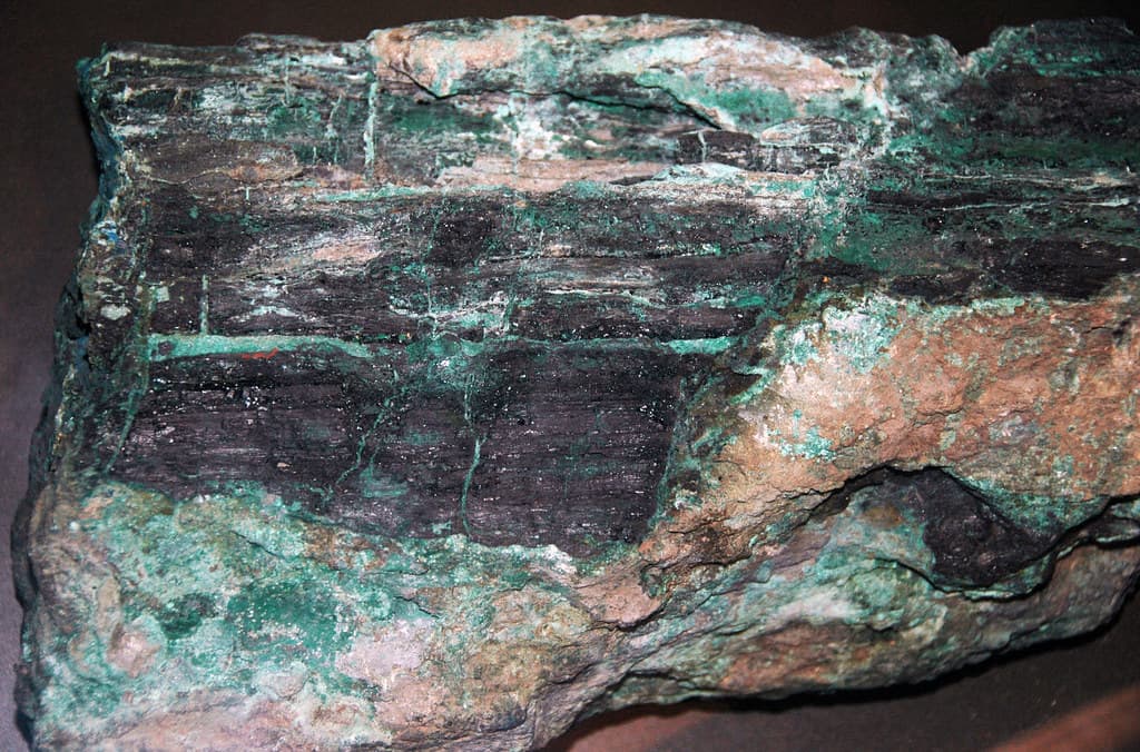 Permineralization of hard parts, Chalcocite-permineralized fossil wood (Chinle Formation, U… | Flickr